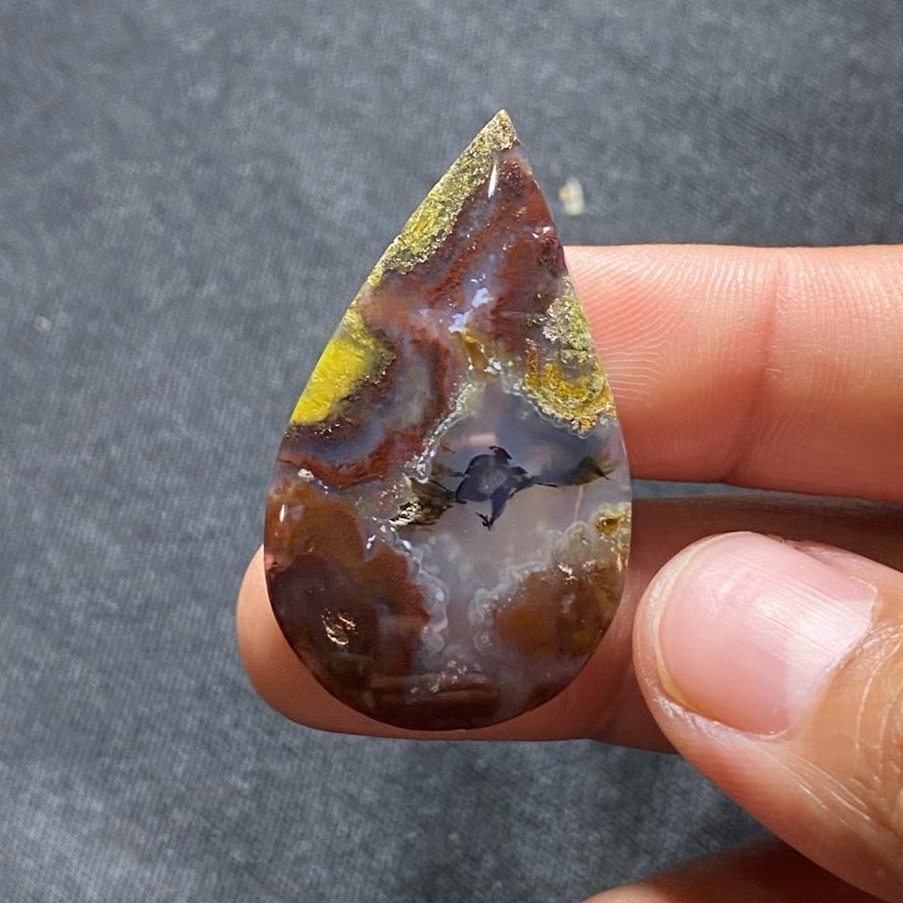 Special Bundle - image 5